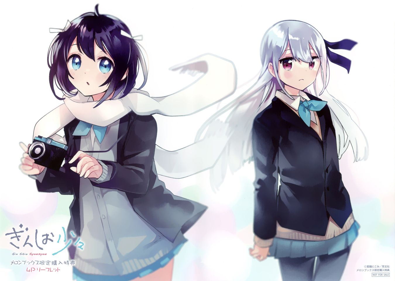 银盐少许1卷特典图