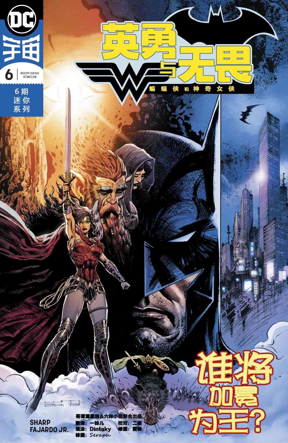 英勇与无畏：蝙蝠侠与神奇女侠6卷图