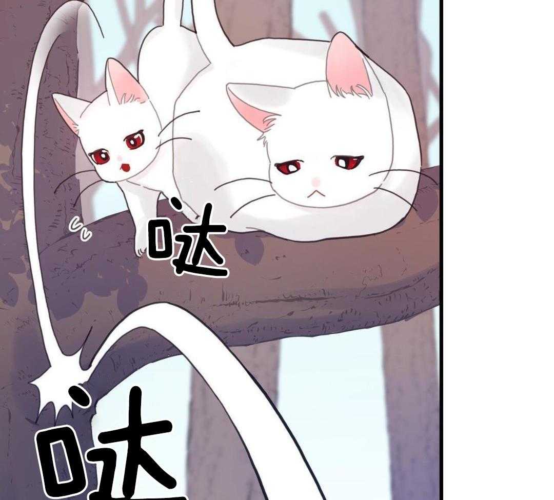 异界攻略系统第47话图