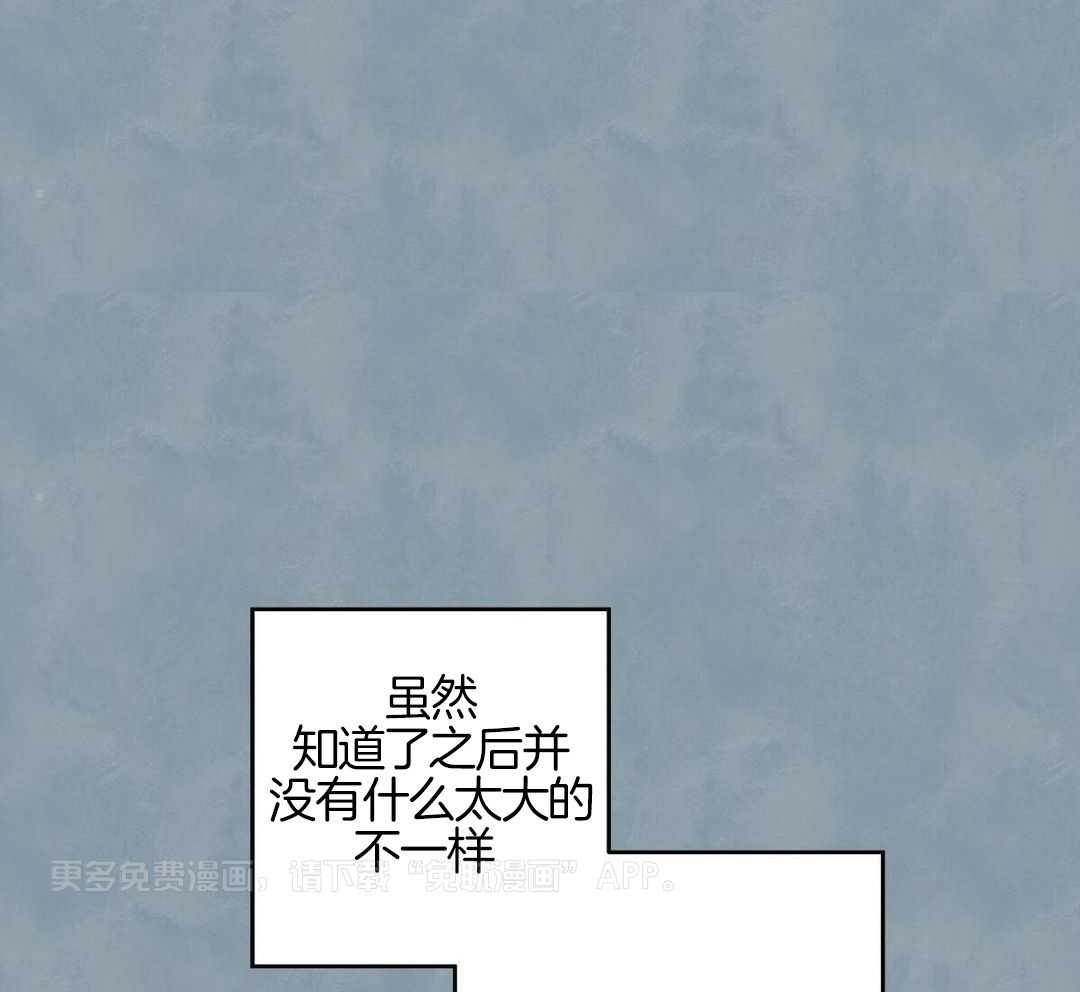 要去看星星吗第19话图