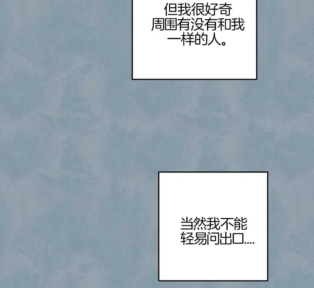 要去看星星吗第19话图