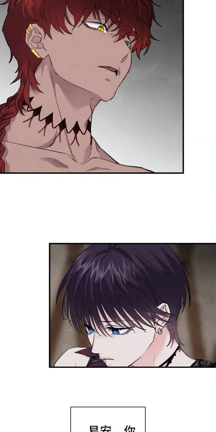 雨林毒药与解药第3话图