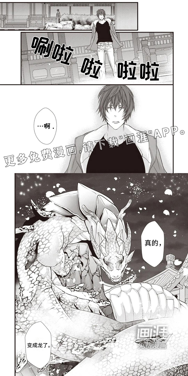 异界神兽召唤第12话图