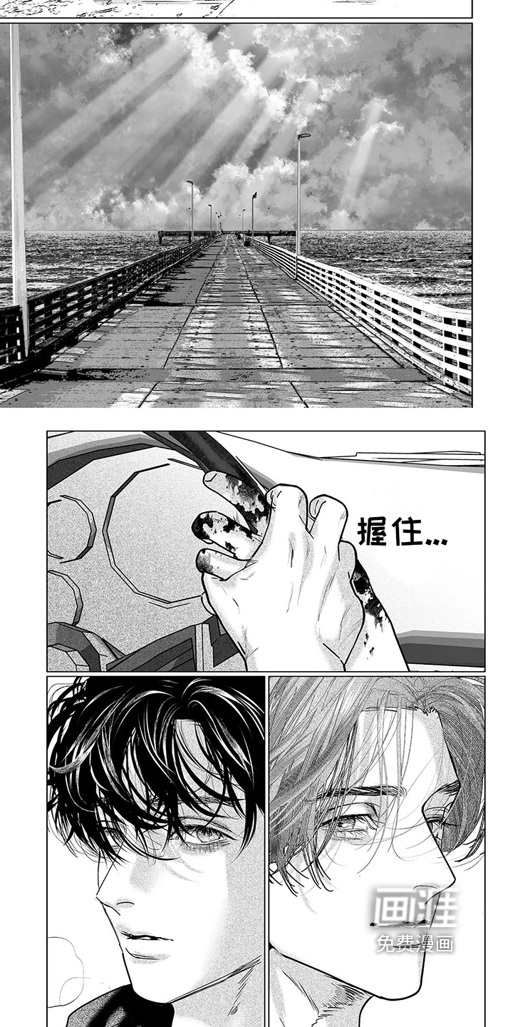 远方的家第29话图