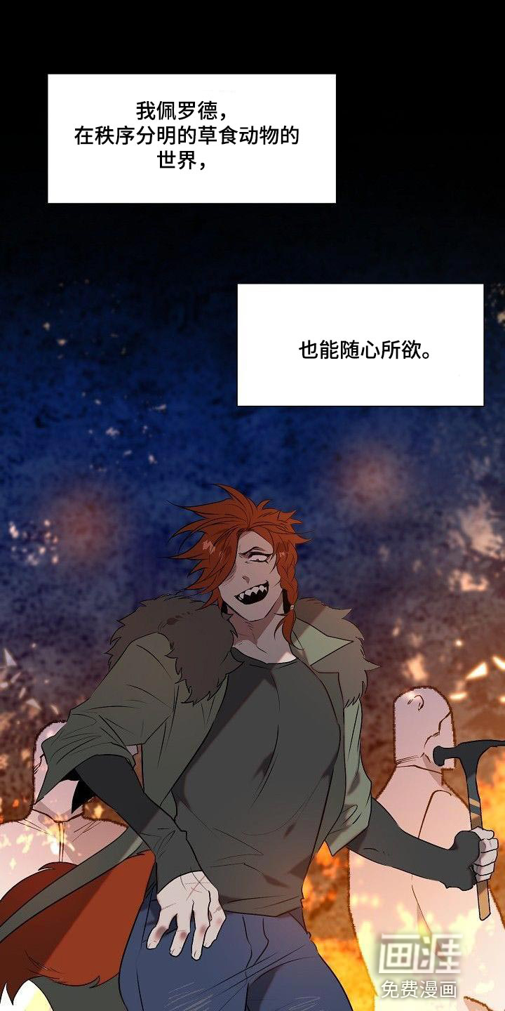 夜吻恶徒第11话图