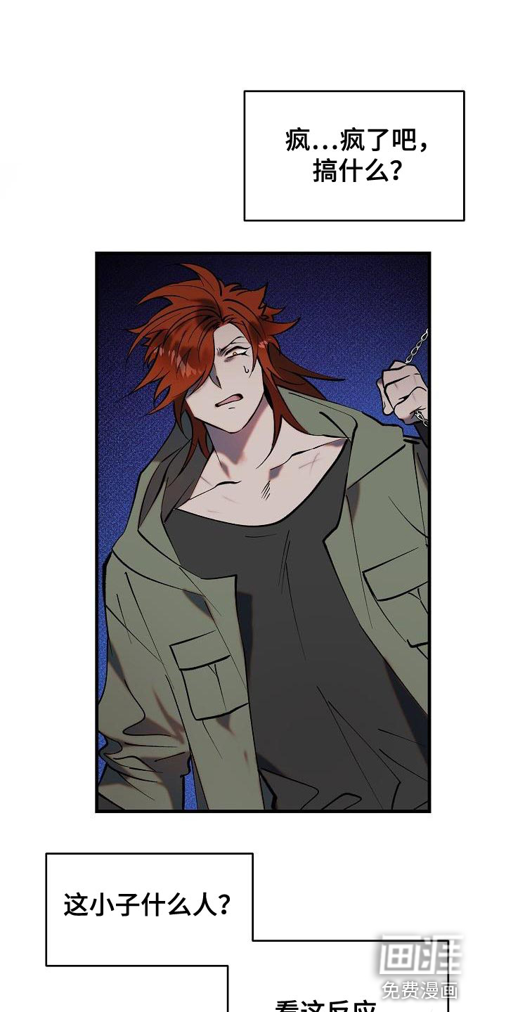 夜吻恶徒第5话图