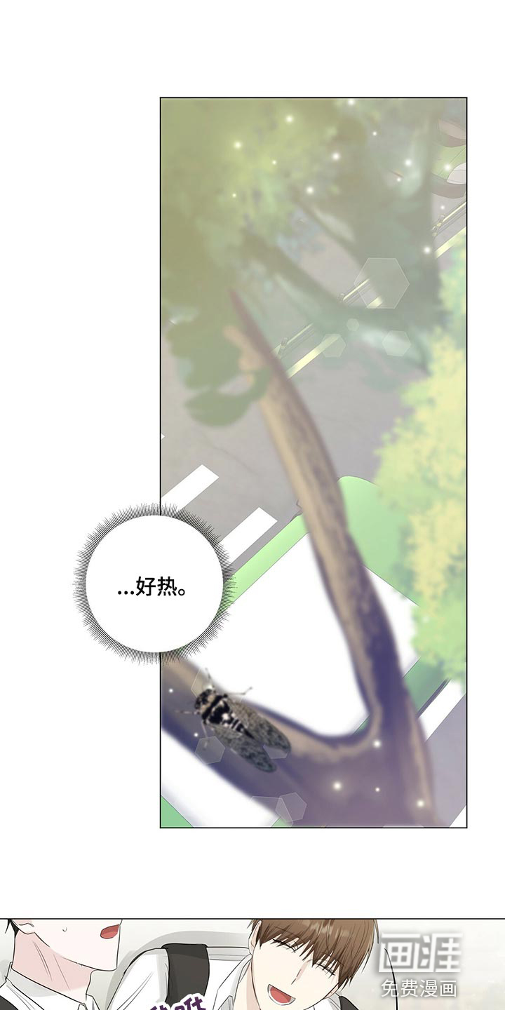 耀眼的光环第23话图