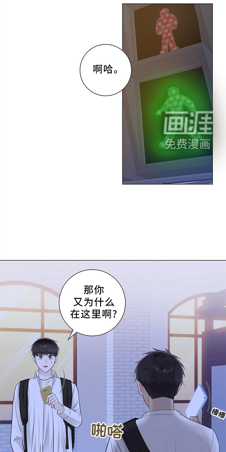 耀眼的光环第29话图