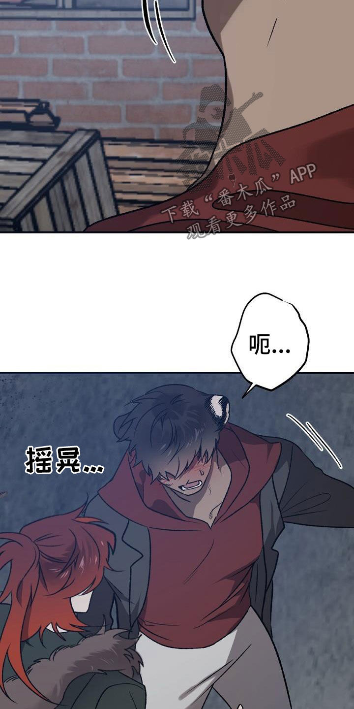 夜吻正传第23话图