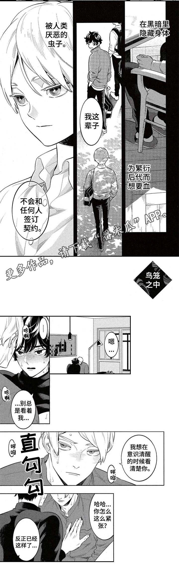 隐秘血族第12话图