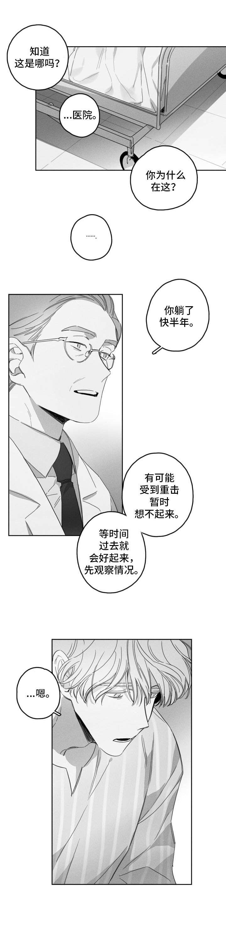 隐匿的爱第49话图