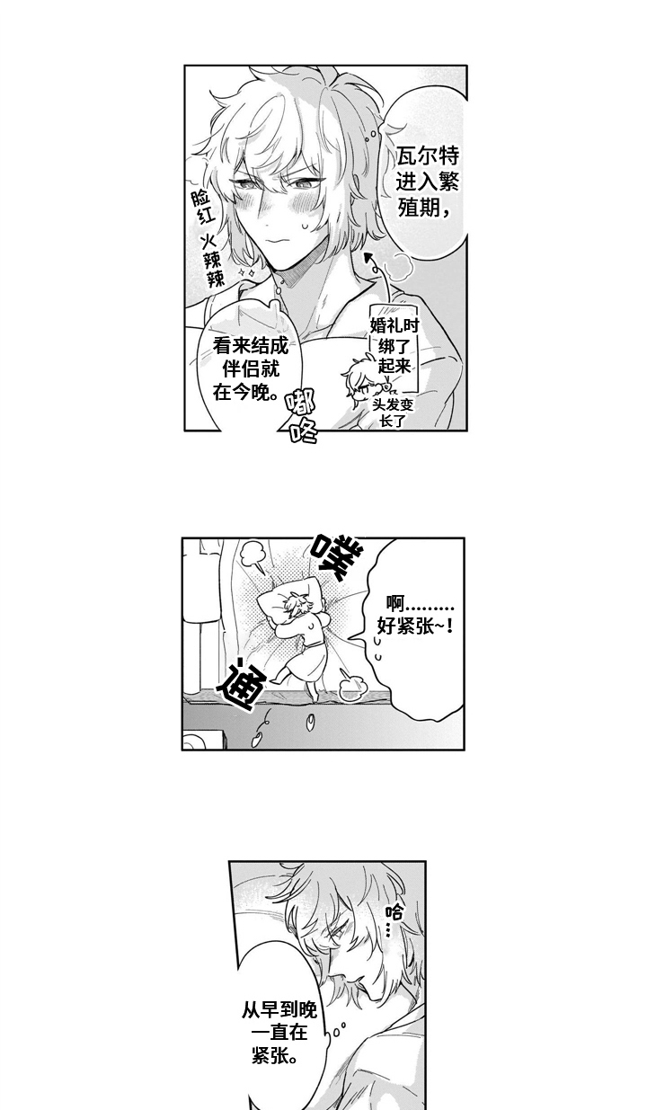 异界命运交织第19话图