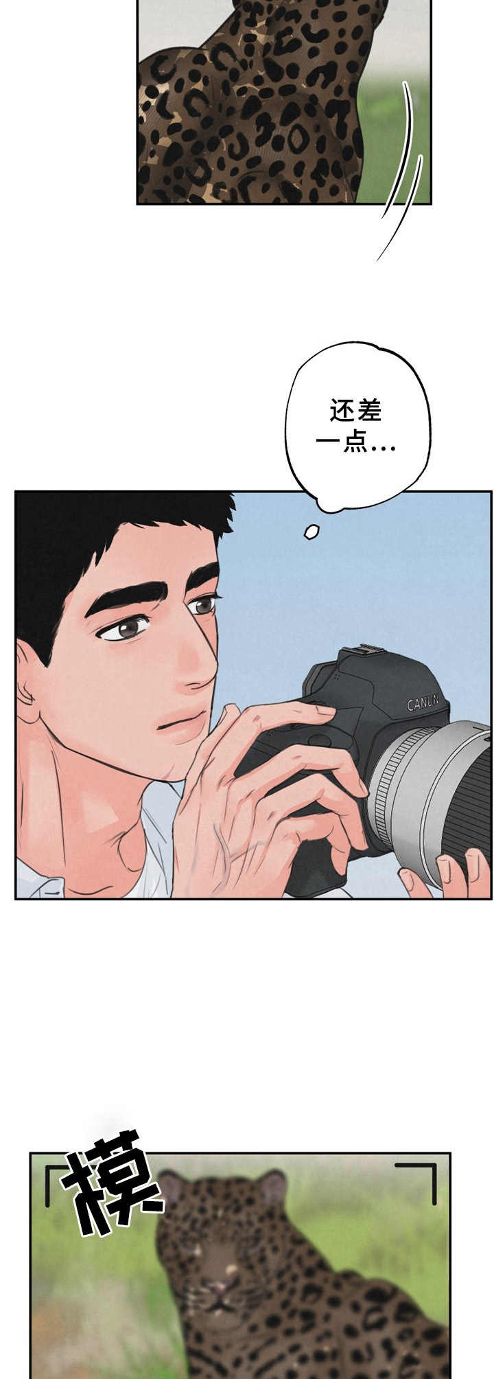 野性之美第1话图