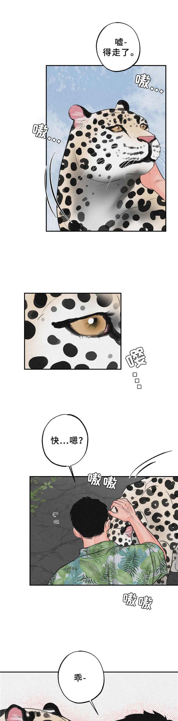 野性之美第10话图