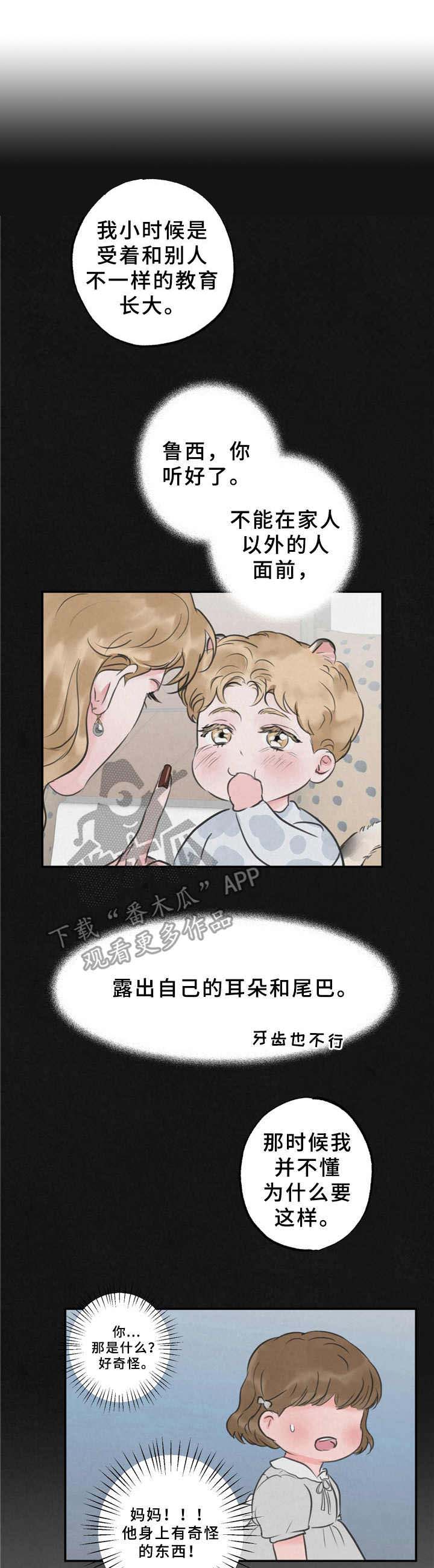 野性之美第12话图