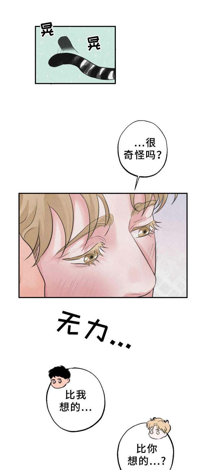 野性之美漫画-图5