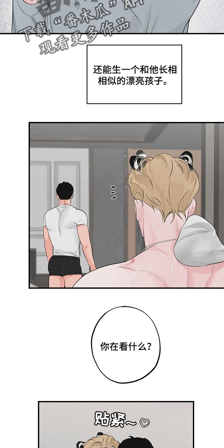 野性之美第14话图