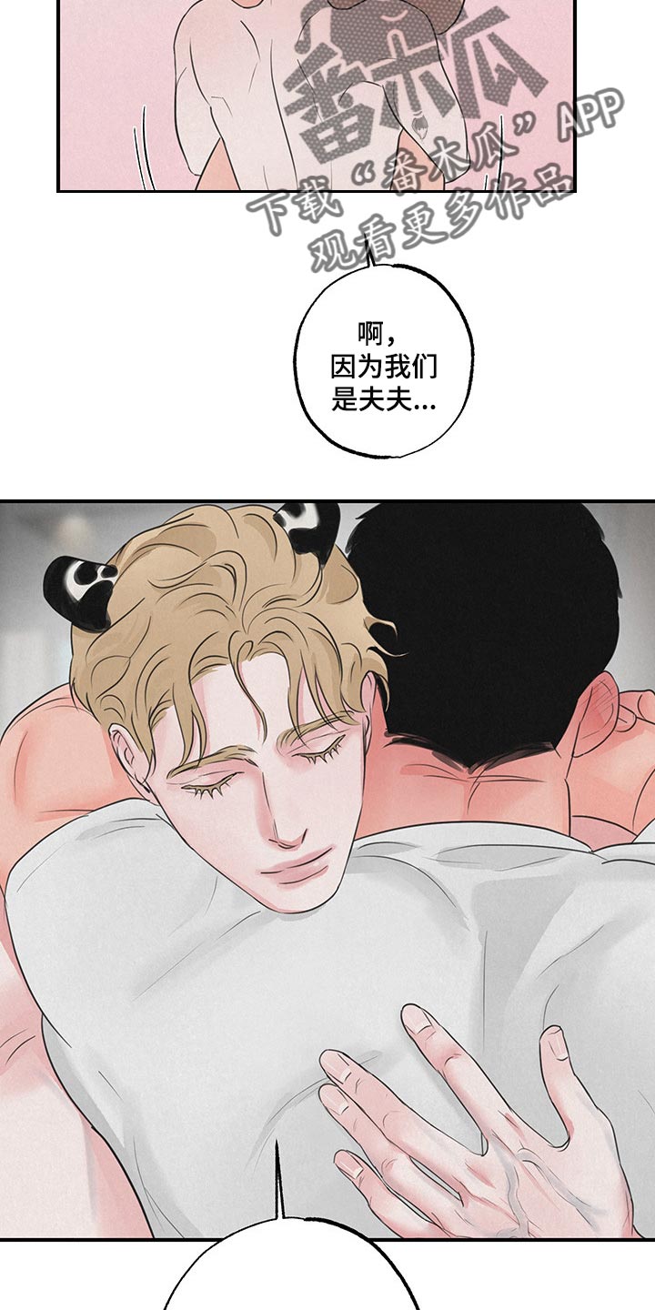 野性之美第14话图