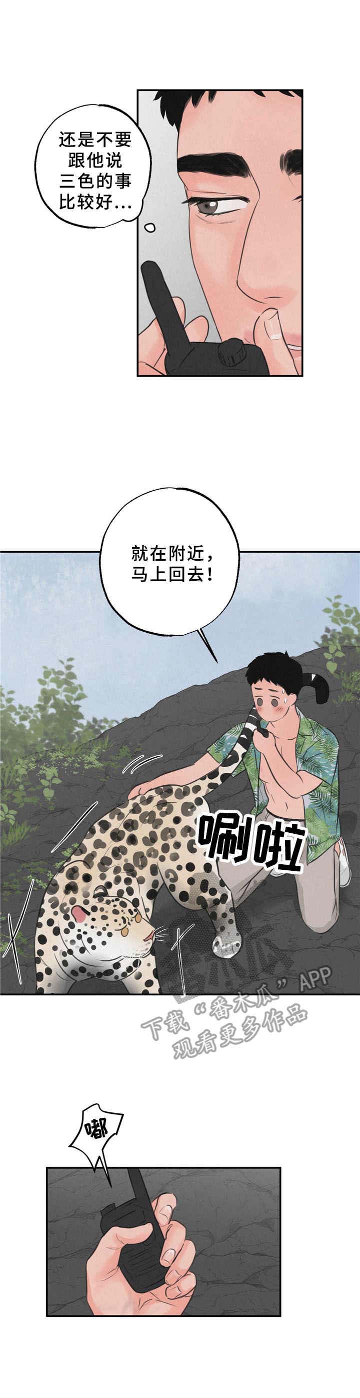 野性之美第9话图