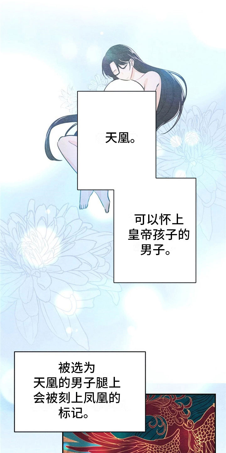 银狼的疼爱第2话图