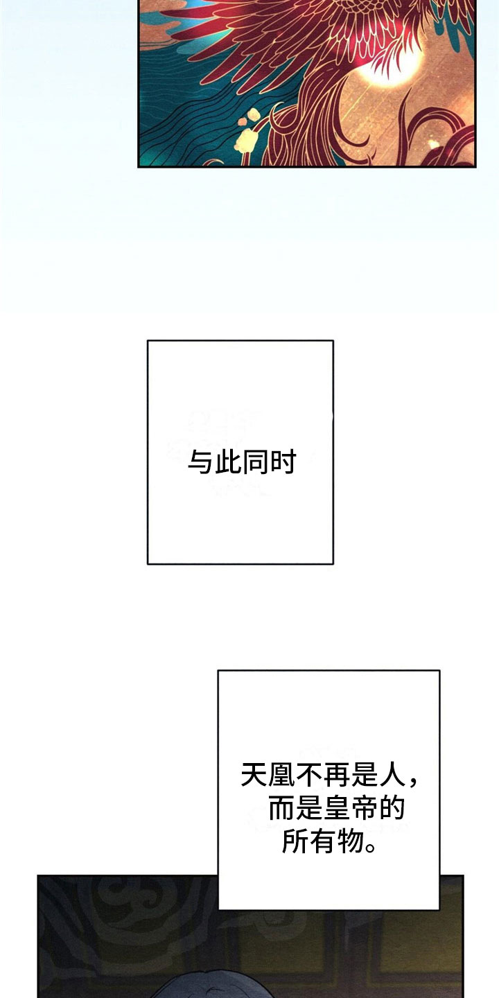 银狼的疼爱第2话图