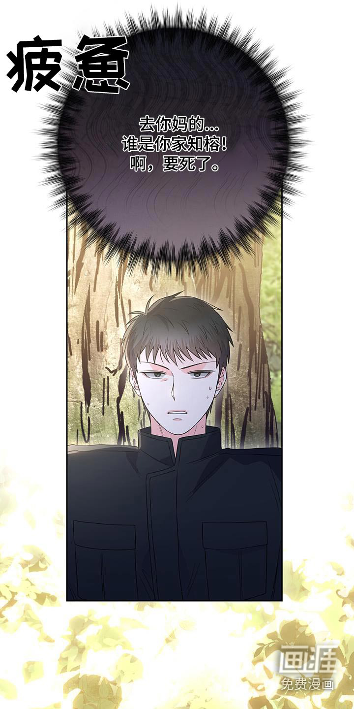 以下犯上第29话图