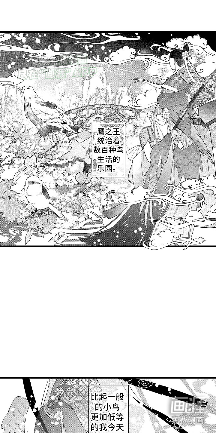 鹰王宠溺第1话图