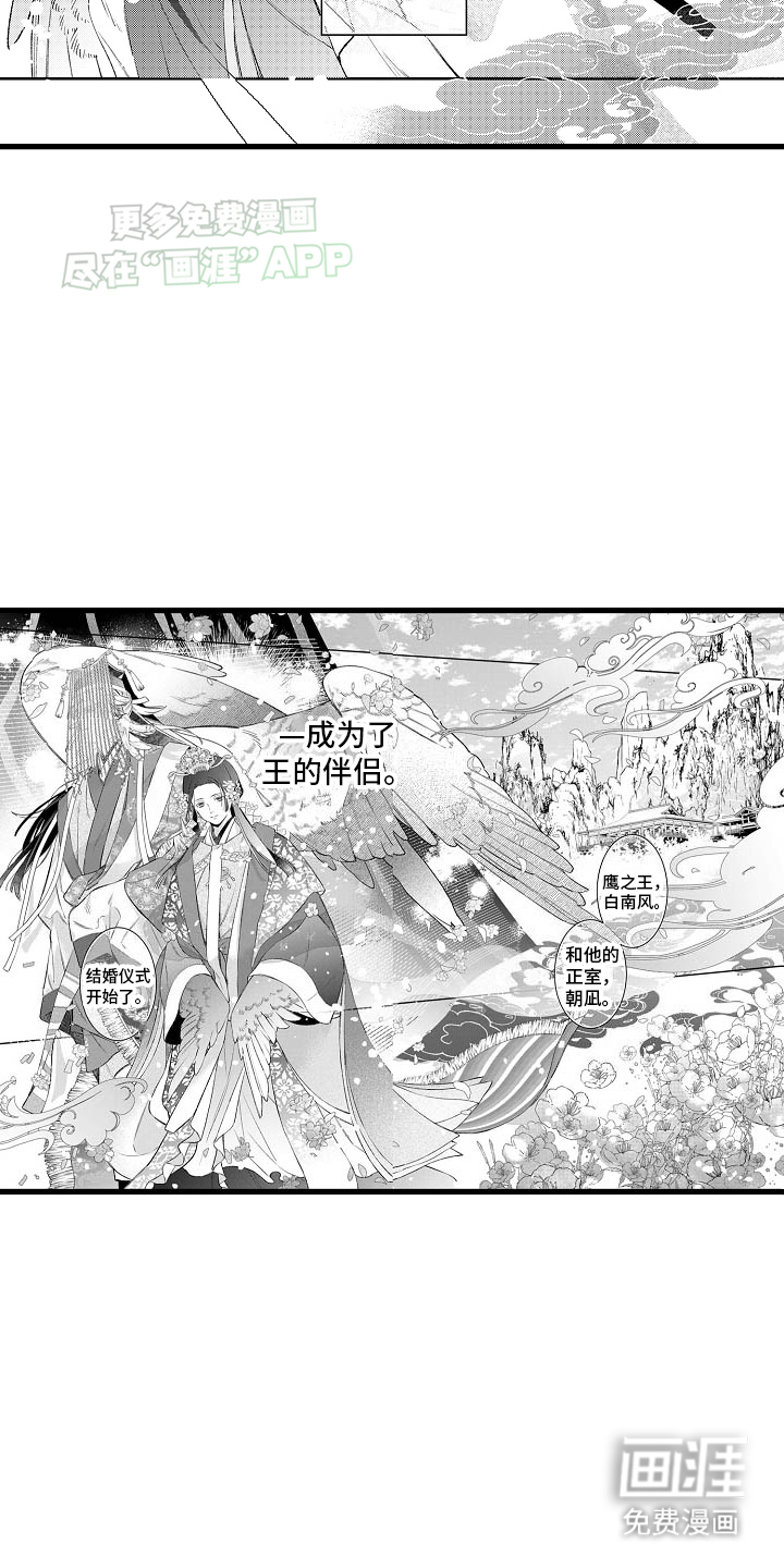 鹰王宠溺第1话图