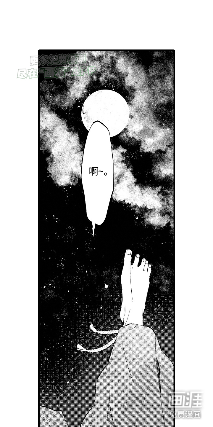 鹰王宠溺第4话图