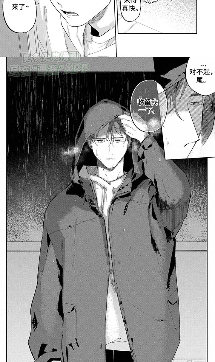 又笨又可爱第1话图