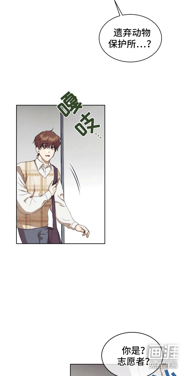 掩埋罪孽第13话图