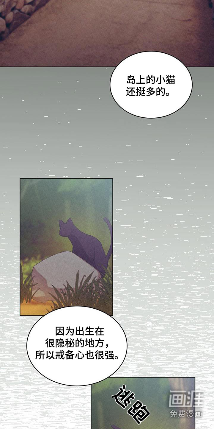 掩埋罪孽第36话图