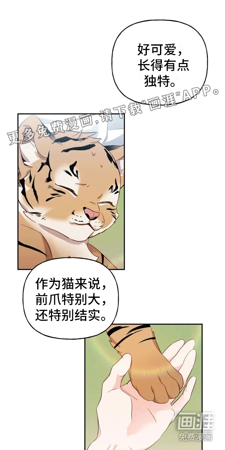 养虎为患第4话图