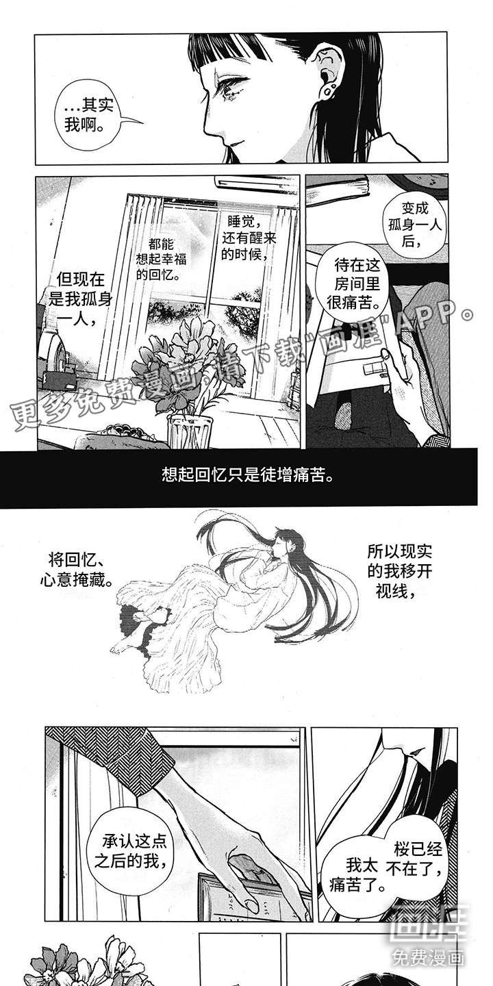 樱花盛开的房间第24话图