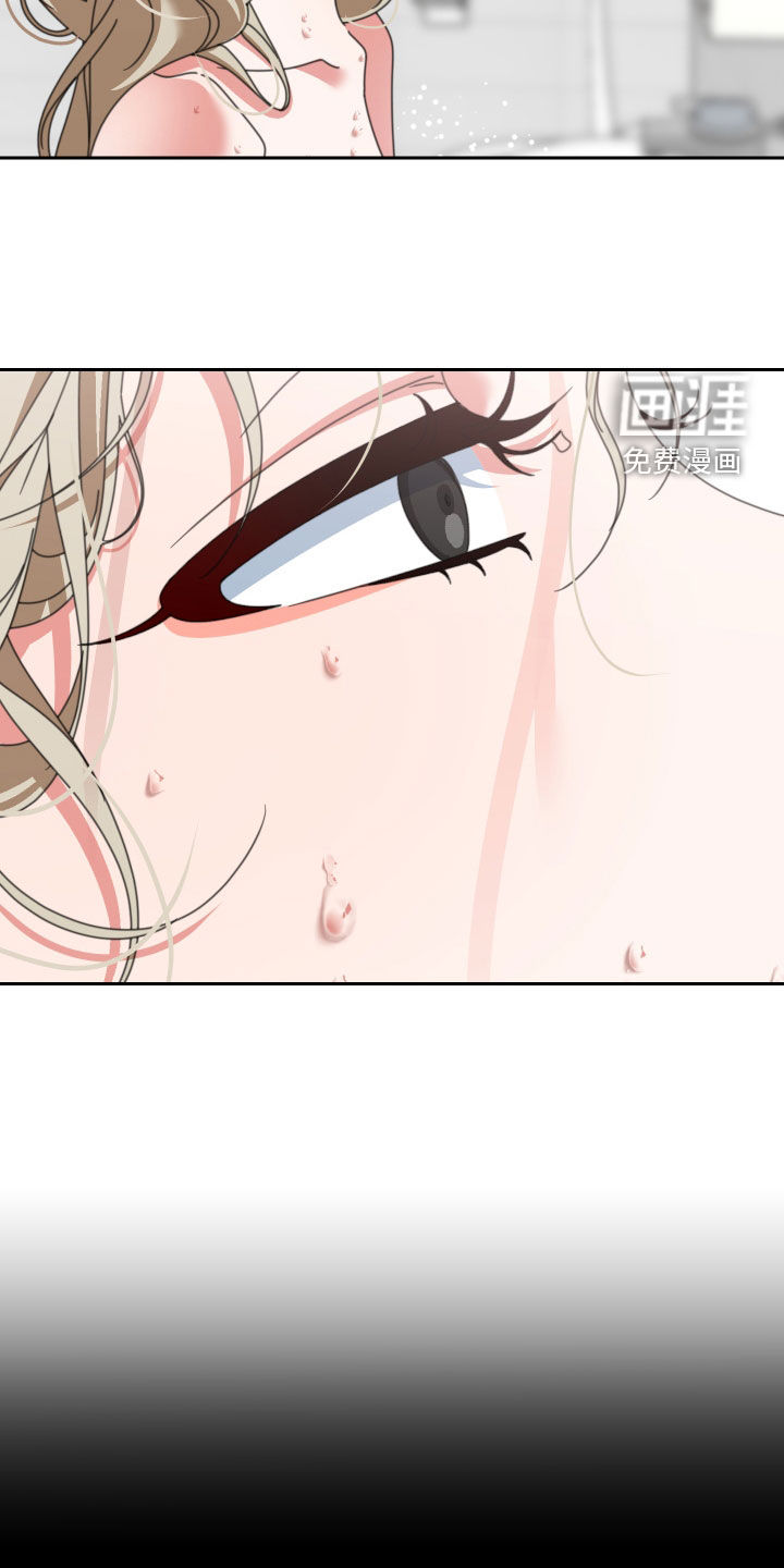 与白莲花同居第19话图