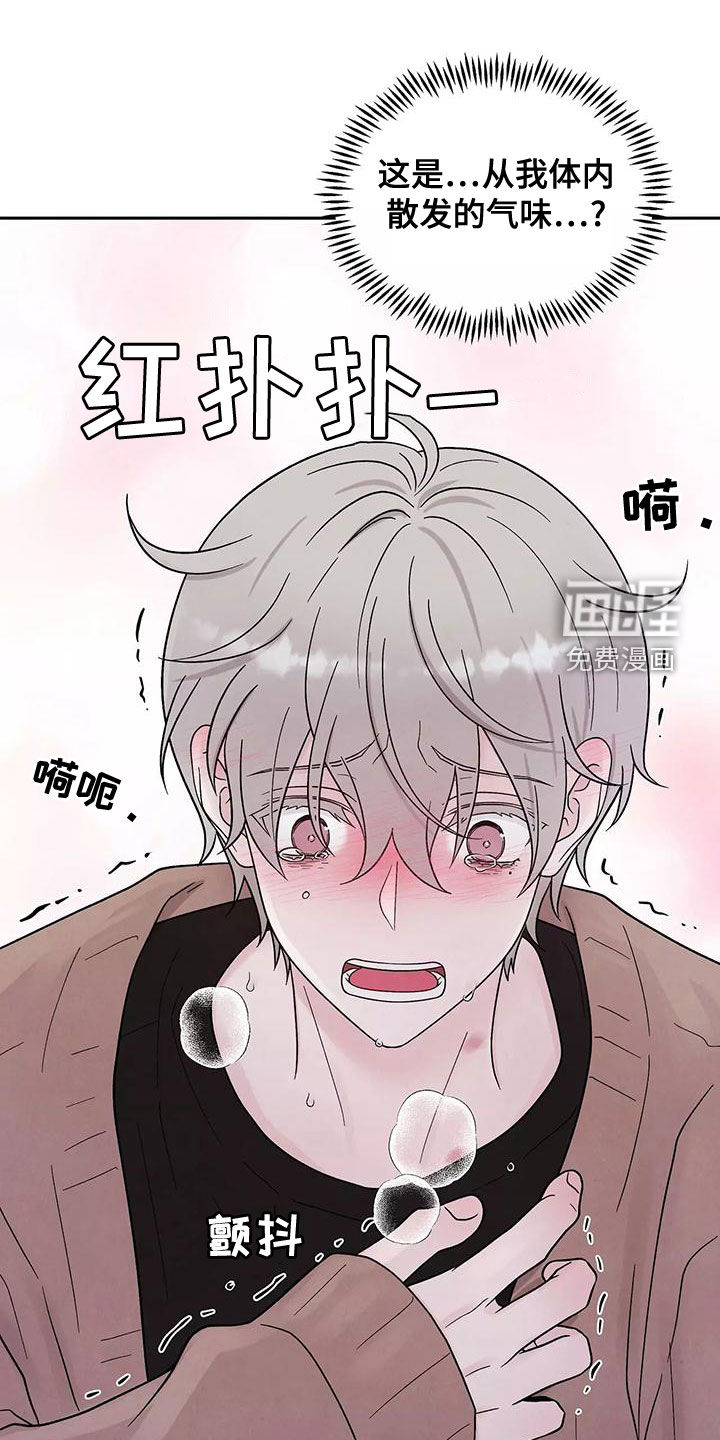 缘分注定第16话图