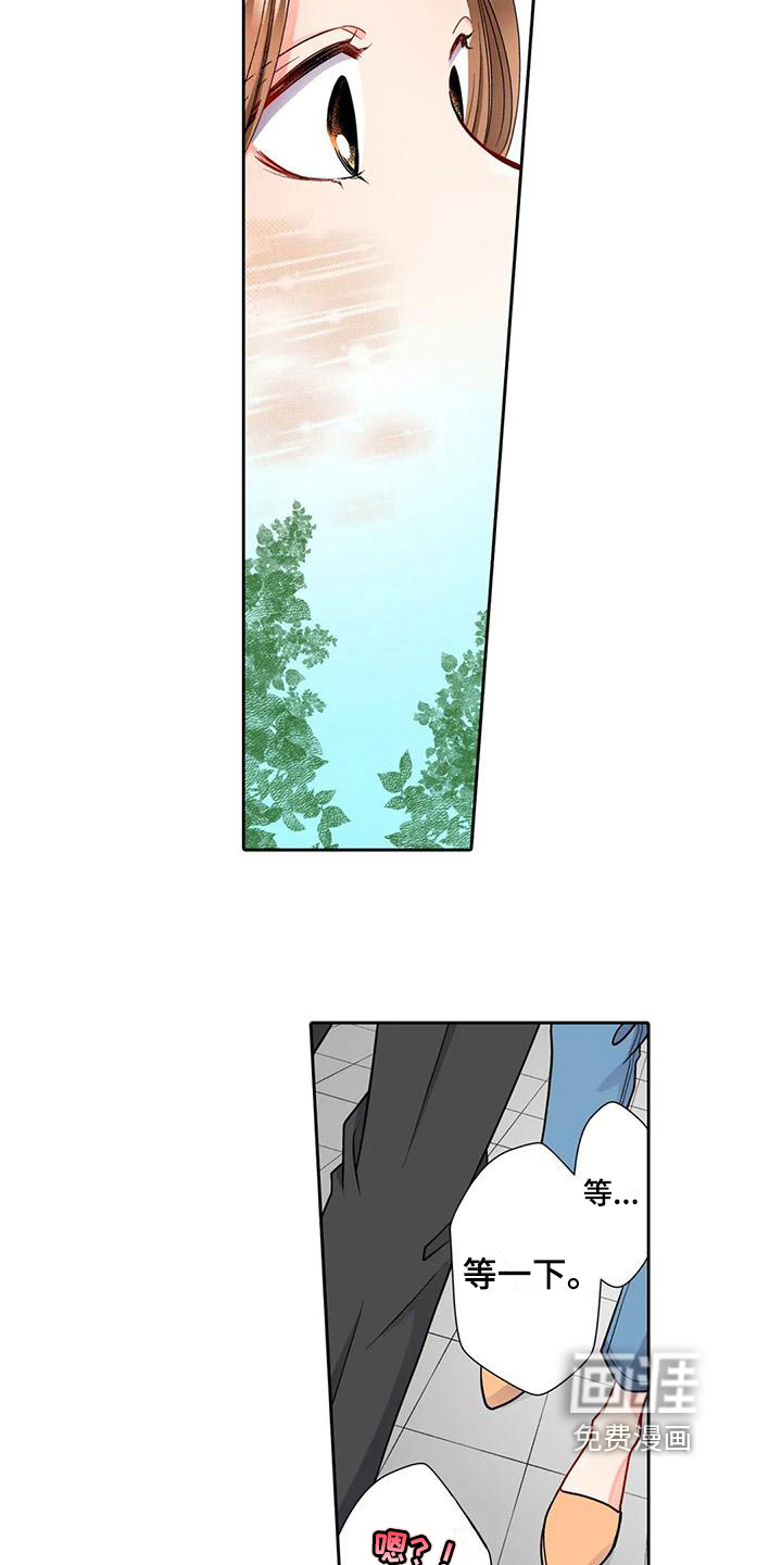 野雪花之恋第8话图