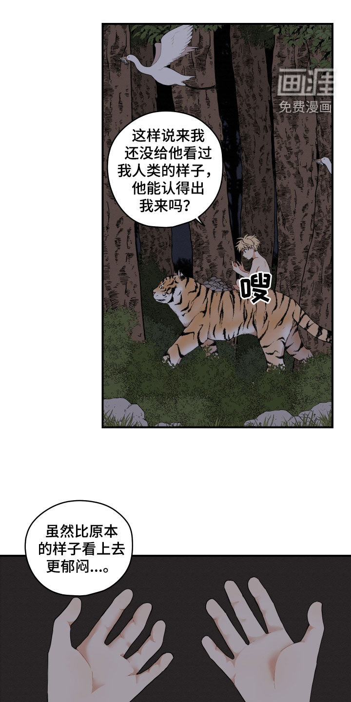 砚与龙第48话图