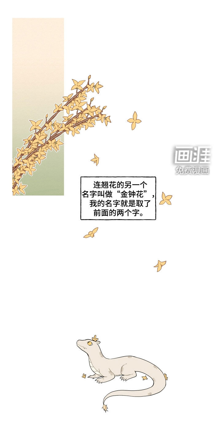 砚与龙第49话图