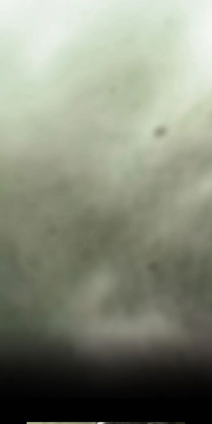 艺术之界第1话图