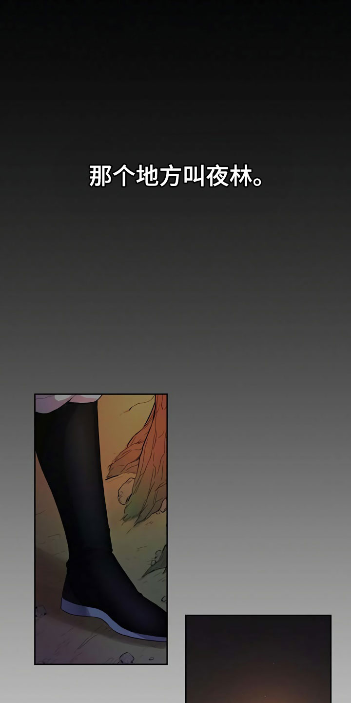 夜林秘史第1话图
