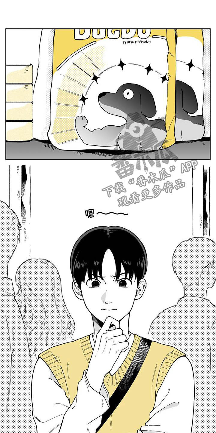 遗失的戒指第28话图