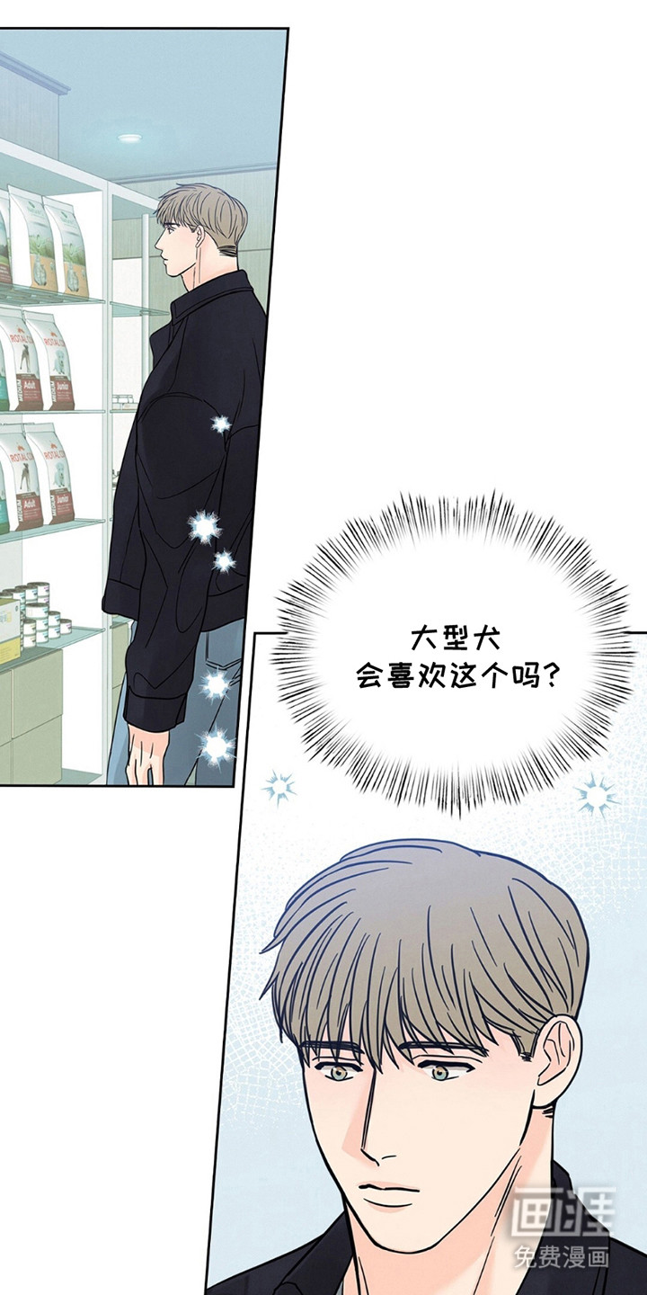 圆月变身第12话图