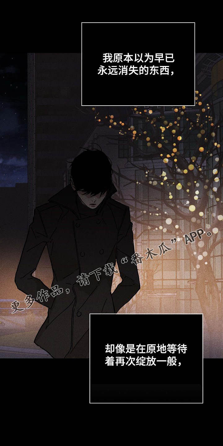 与男人结婚第49话图