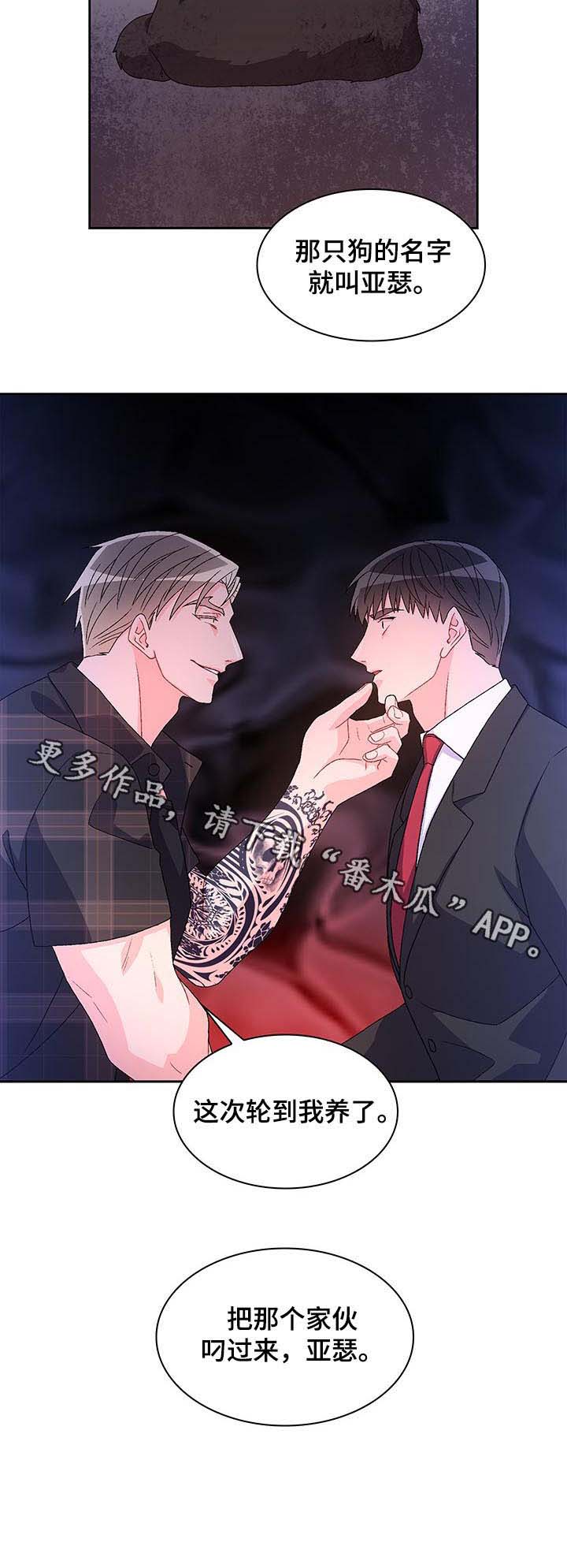 亚瑟的爱好第48话图