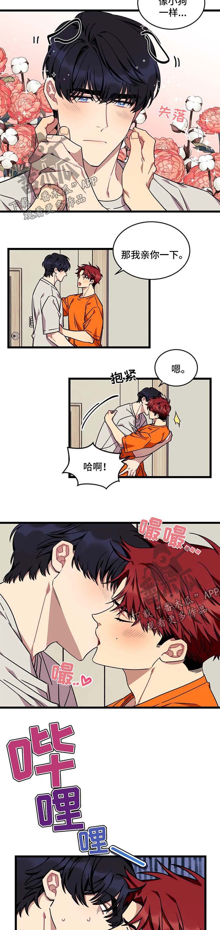 愿望使命第49话图