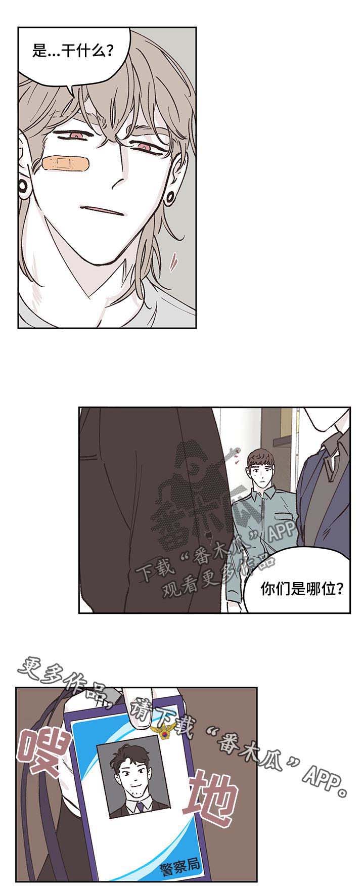 阴谋与争斗第48话图