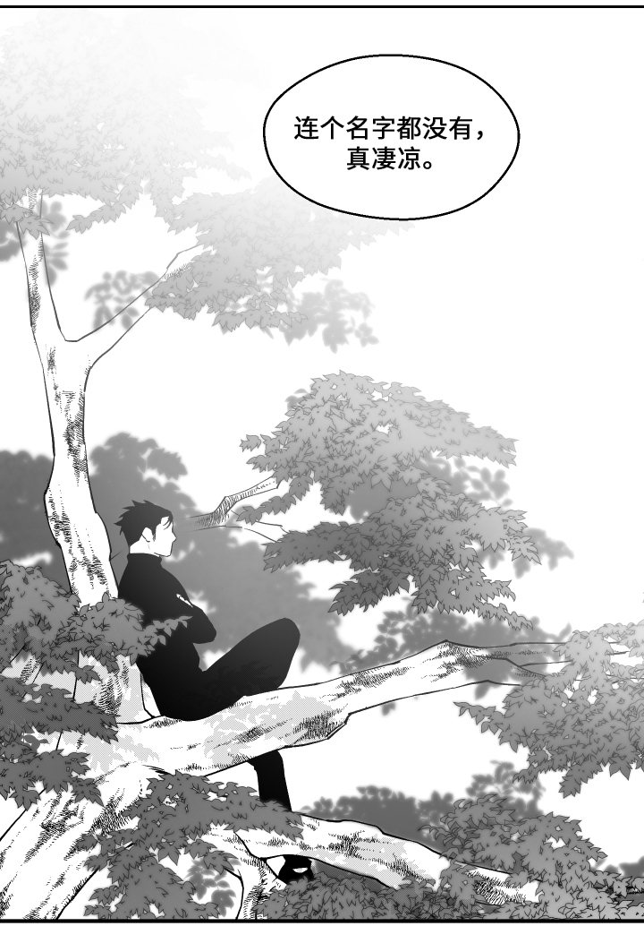 夜游精灵第37话图