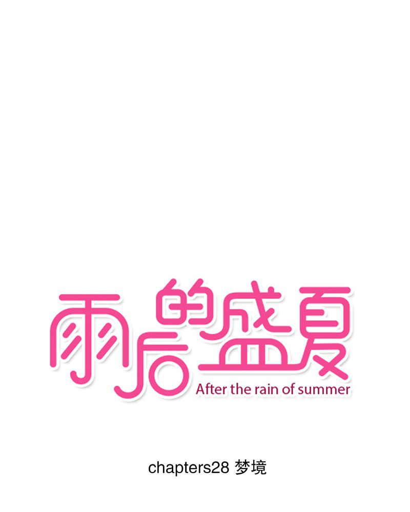 雨后的盛夏第28话图