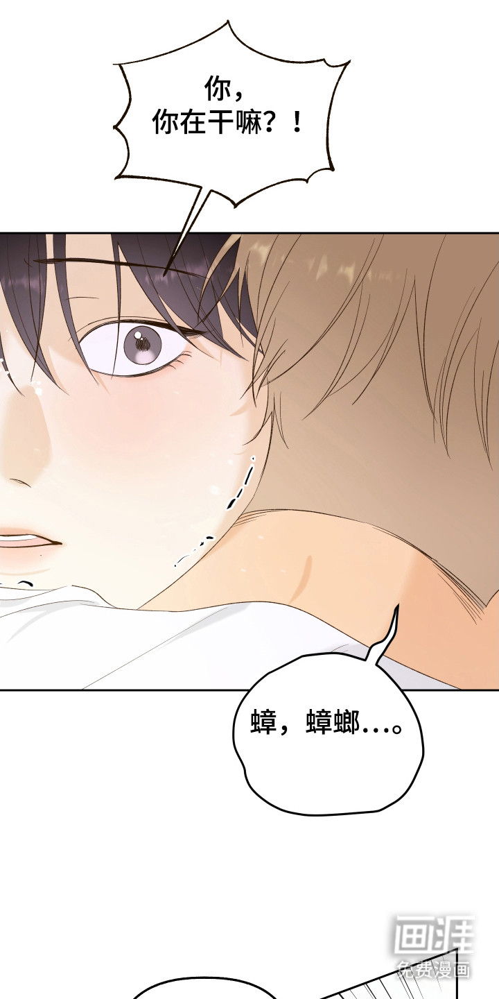 友好的风第17话图